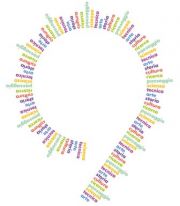 Articolo 9 - Logo