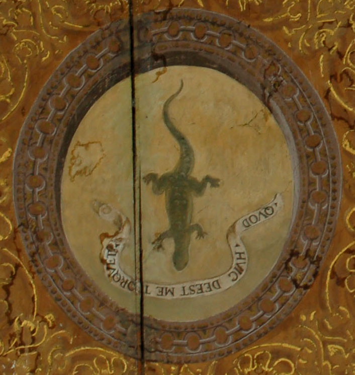 Un museo al mese - Mantova, Palazzo Ducale - Salamandra 2 